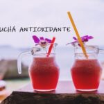 SUCHÁ ANTIOXIDANTE