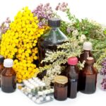 Plantas medicinais – Conheça o poder dessas plantas!
