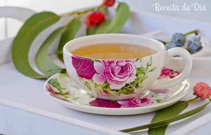 Chá de eucalipto: aprenda a fazer e suas propriedades