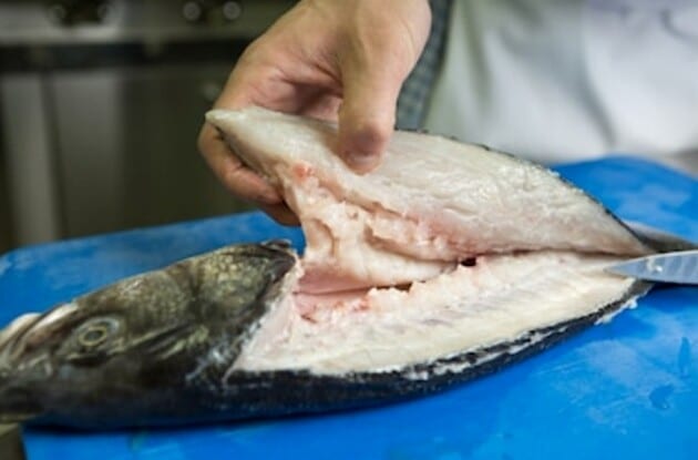 Como tirar filé de peixe