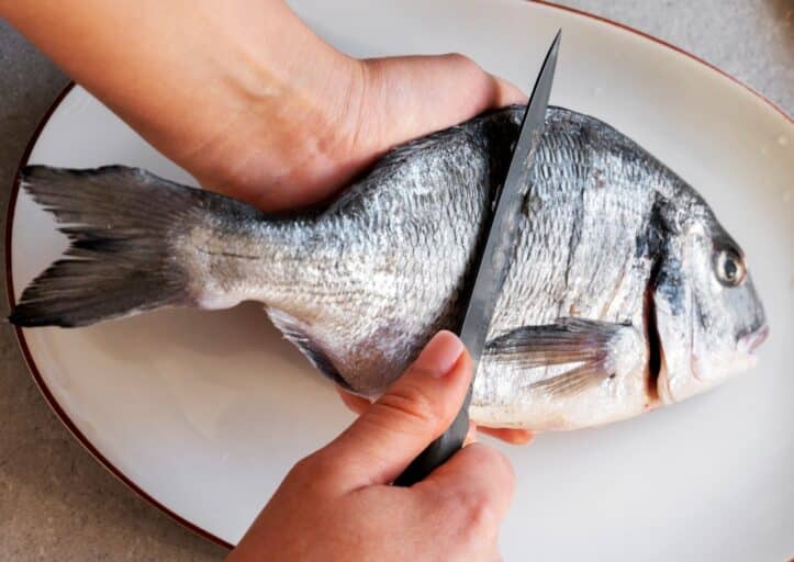 Como tirar filé de peixe