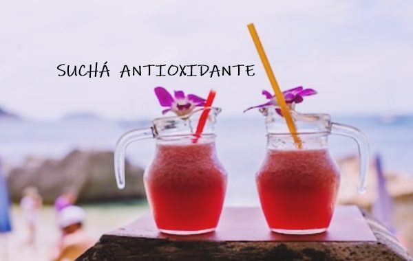 SUCHÃ ANTIOXIDANTE refrescante, funcional e benÃ©fico para a saÃºde